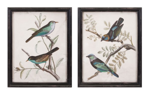 This pair of framed bird prints in blue and brown will add flair to ...