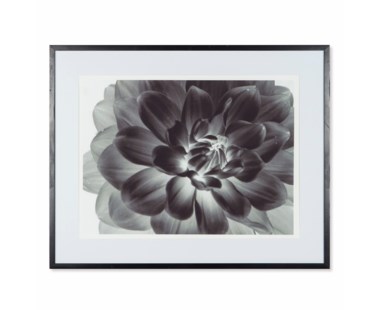 Black Flower