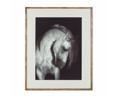 Grey Horse