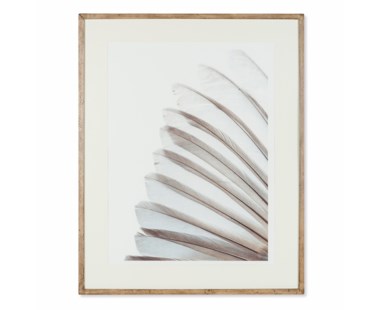 Feather