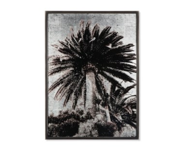 Venice Palm Trees - Siver Leaf