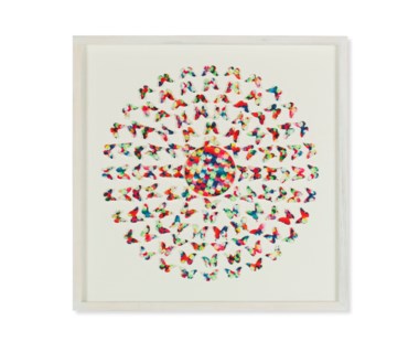 Laser Cut - Butterflies
