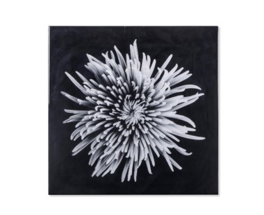 Black & White Flower - Epoxy / A