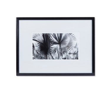 Black & White Palm Leaves - A