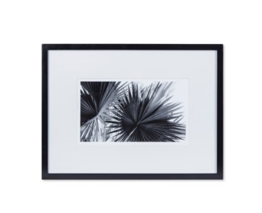 Black & White Palm Leaves - B