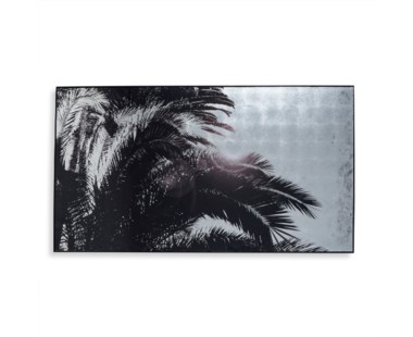 Sliver Leaf Palm Tree - A