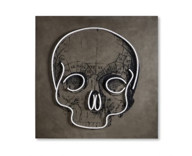 LED Neon Skull