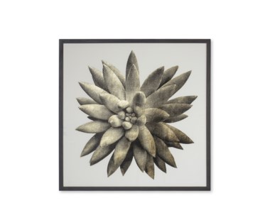 Gold Succulent A