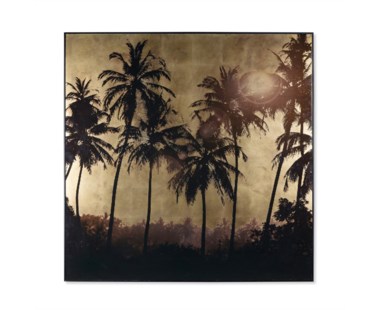 Gold Leaf Palm Tree Grove
