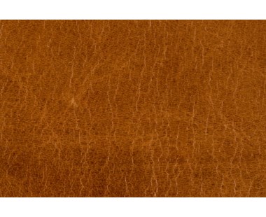 Geoffery Sycamore