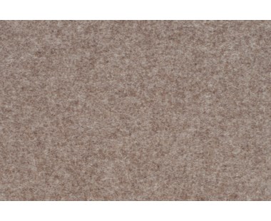 Maddie Taupe