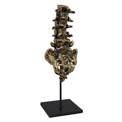 Vertebrae, Brass and Metal