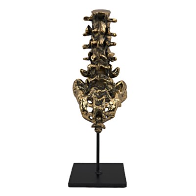 Vertebrae, Brass and Metal