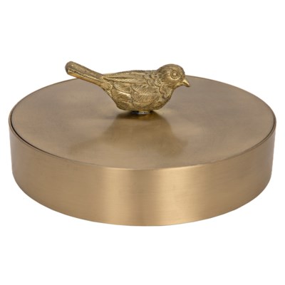 Solid Brass Jewelry Box with Bird Knob