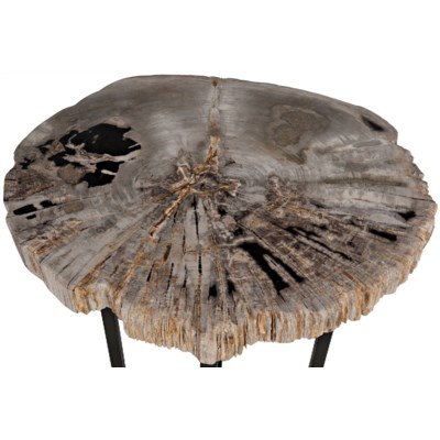 Large Cross Base Petrified Top Side Table