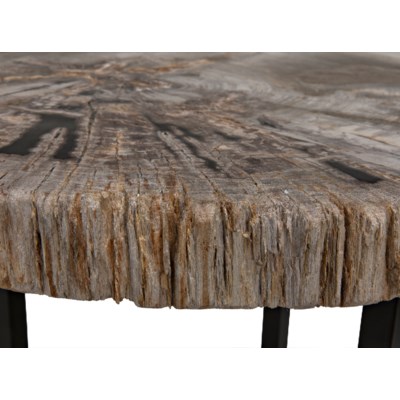 Large Cross Base Petrified Top Side Table