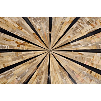 Katana Coffee Table, Metal and Petrified Wood