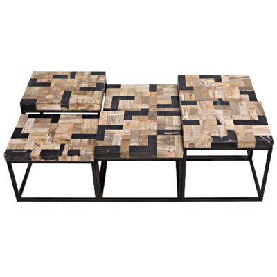 Plato Coffee Table, Metal and Fossil