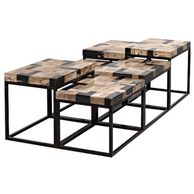 Plato Coffee Table, Metal and Fossil