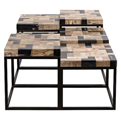Plato Coffee Table, Metal and Fossil