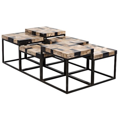 Plato Coffee Table, Metal and Fossil