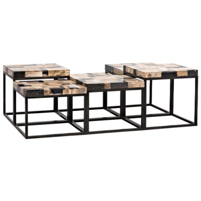 Plato Coffee Table, Metal and Fossil