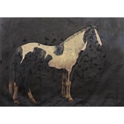Black and White Horse